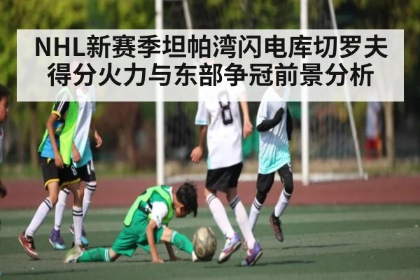 NHL新赛季坦帕湾闪电库切罗夫得分火力与东部争冠前景分析